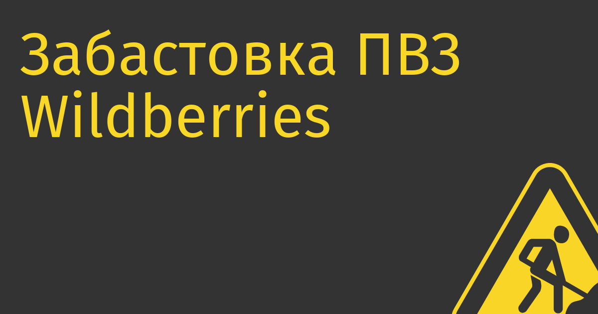 Забастовка ПВЗ Wildberries провалилась, представители маркетплейса не поехали на встречу в Госдуму